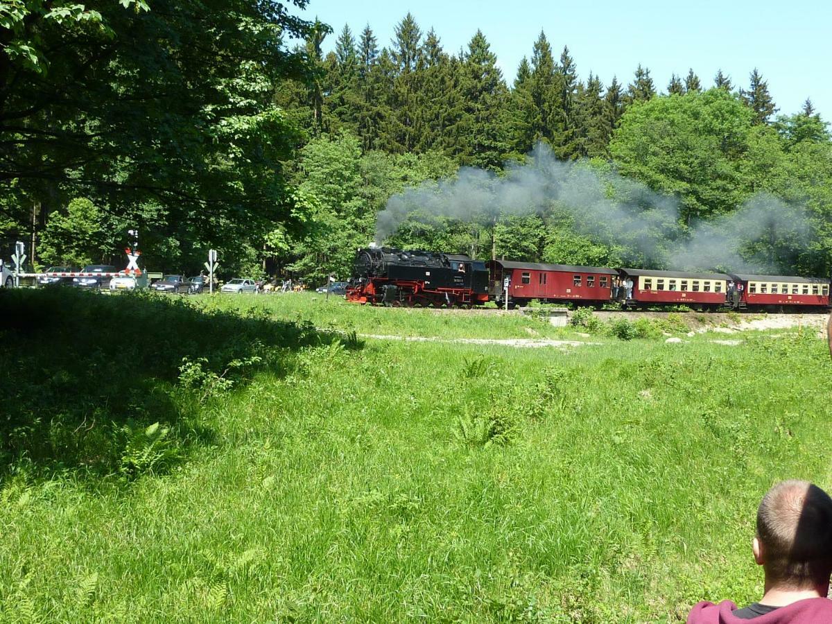 Ferienwohnung Kranich Bad Sachsa Esterno foto